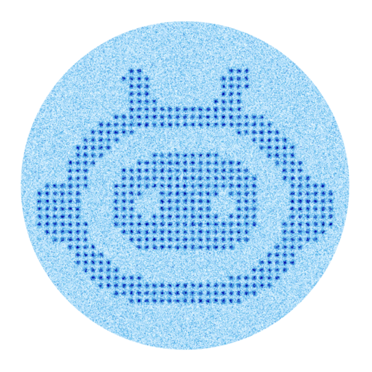 Logo der Research Unit FOR 5919