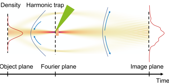 Scheme of the phase microscope.
